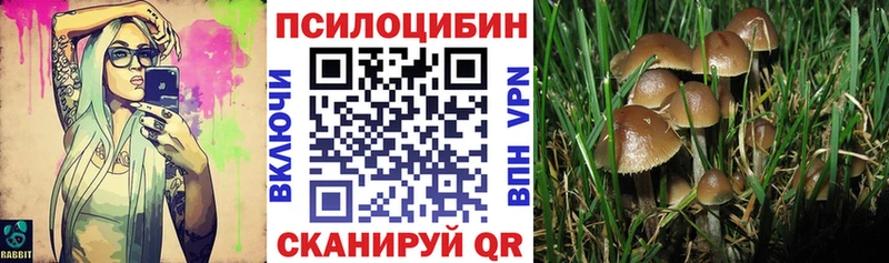 Галлюциногенные грибы Magic Shrooms  Купить  Ясный 