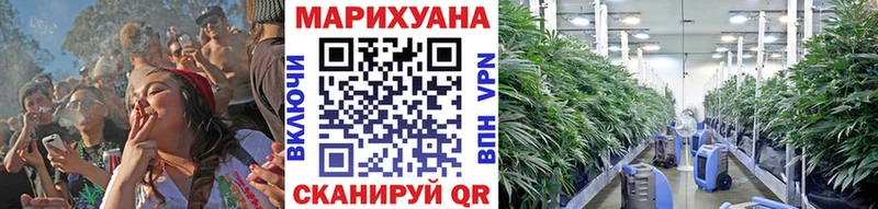 Бошки марихуана планчик Купить закладки Ясный